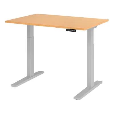 XMKA 12 S | Schreibtisch - Buche 120 x 80 elektrisch höhenverstellbar
