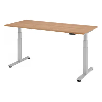 XDSM 19 S | Schreibtisch - 180 x 80 Nussbaum elektrisch höhenverstellbar