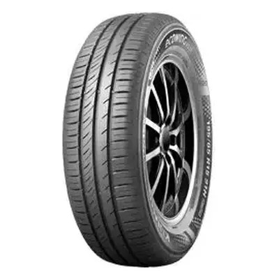 EcoWing ES31
