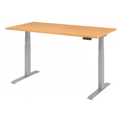 XDKB 16 S | Schreibtisch - Buche 160 x 80 elektrisch höhenverstellbar