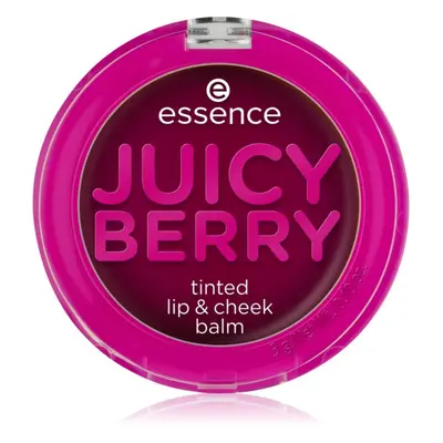 essence Juicy Berry Tinted flüssiges Rouge und Lipgloss 3 g