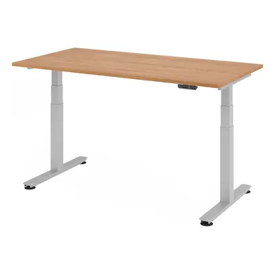 XDSM 16 S | Schreibtisch - 160 x 80 Nussbaum elektrisch höhenverstellbar