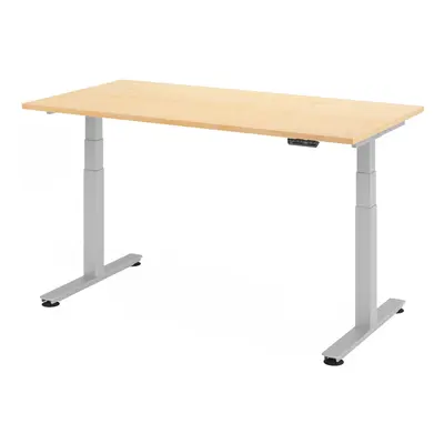 XDSM 16 S | Schreibtisch - Ahorn 160 x 80 elektrisch höhenverstellbar