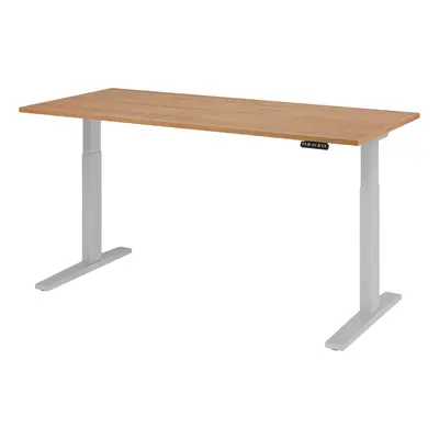 XMKA 19 S | Schreibtisch - 180 x 80 Nussbaum elektrisch höhenverstellbar