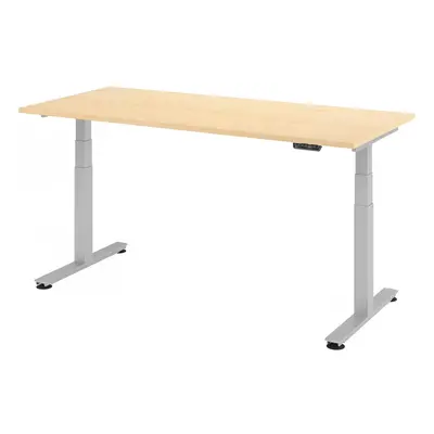 XDSM 19 S | Schreibtisch - Ahorn 180 x 80 elektrisch höhenverstellbar