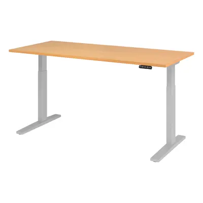 XMKA 19 S | Schreibtisch - Buche 180 x 80 elektrisch höhenverstellbar