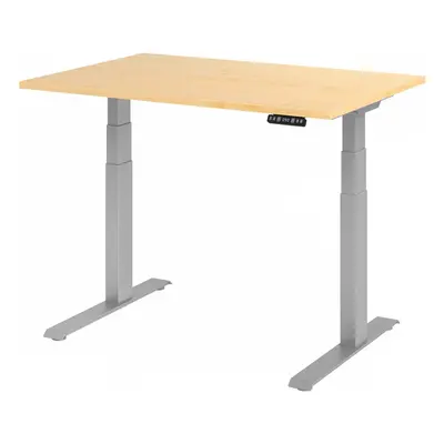 XDKB 12 S | Schreibtisch - Ahorn 120 x 80 elektrisch höhenverstellbar