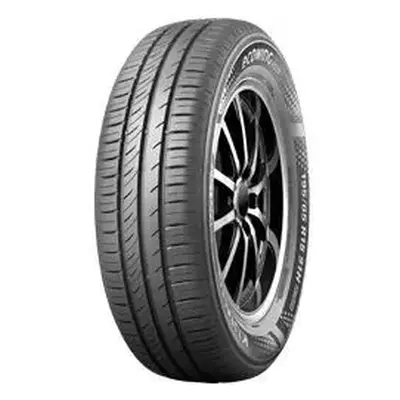 EcoWing ES31