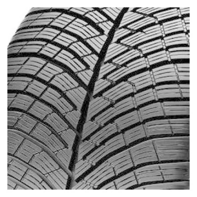305/30 R21 104W P Zero Winter 2 XL ncs elt