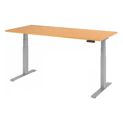 XDKB 19 S | Schreibtisch - Buche 180 x 80 elektrisch höhenverstellbar