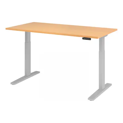 XMKA 16 S | Schreibtisch - Buche 160 x 80 elektrisch höhenverstellbar