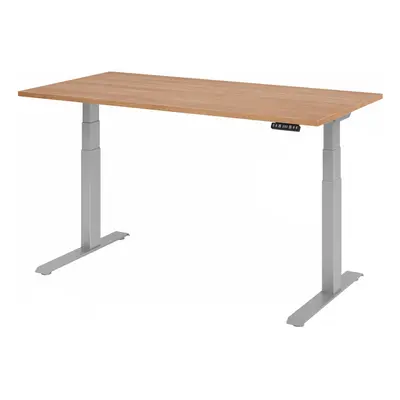 XDKB 16 S | Schreibtisch - 160 x 80 Nussbaum elektrisch höhenverstellbar