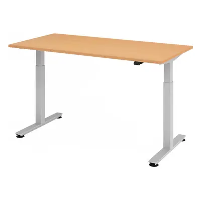 XMST 16 S | Schreibtisch - Buche 160 x 80 elektrisch höhenverstellbar
