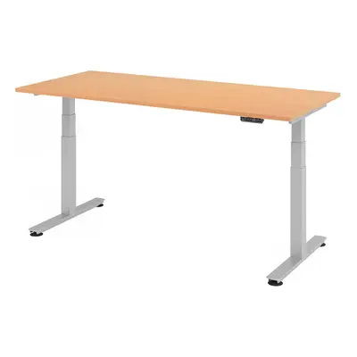 XDSM 19 S | Schreibtisch - Buche 180 x 80 elektrisch höhenverstellbar