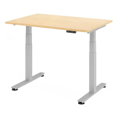 XDSM 12 S | Schreibtisch - Ahorn 120 x 80 elektrisch höhenverstellbar