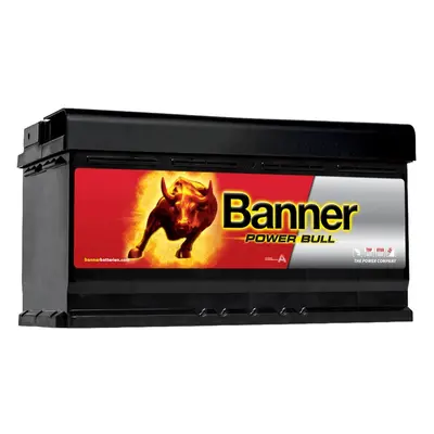 Banner P9533 Power Bull 95Ah Autobatterie