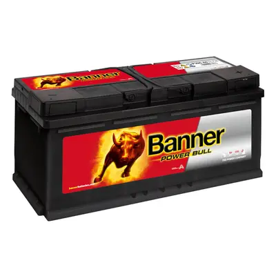 Banner P10040 Power Bull 100Ah Autobatterie